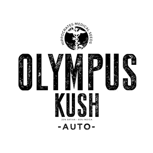 Olympus Kush Auto Flower